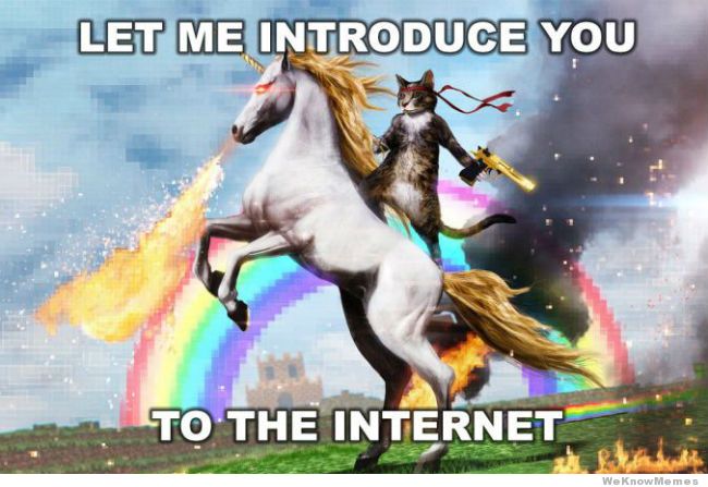 Let me introduce you to the Internet meme