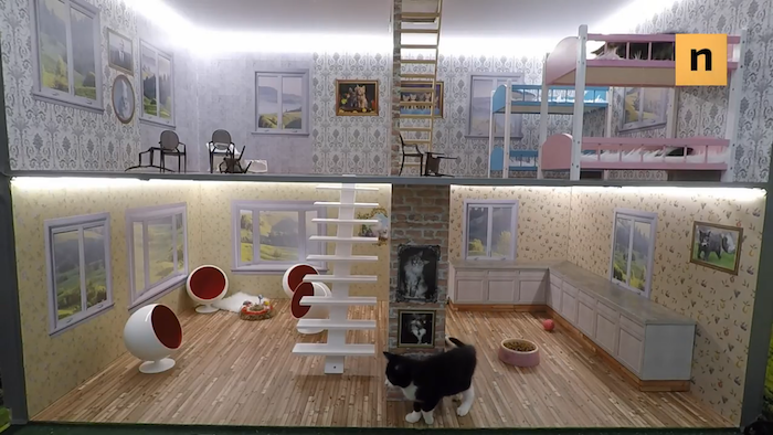 Keeping Up With The Kattarshians un reality con gatitos