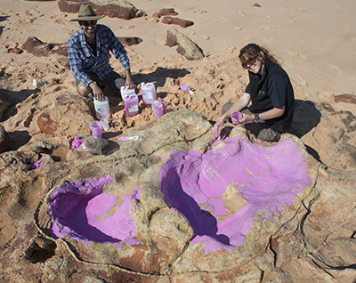 Huellas de dinosaurio, Dampier Australia