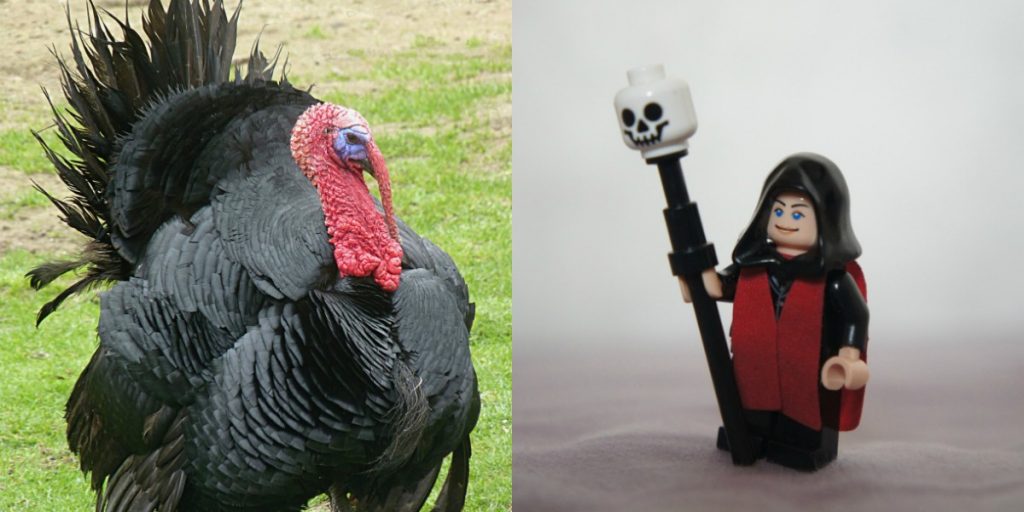 Pavo y Necromante Lego