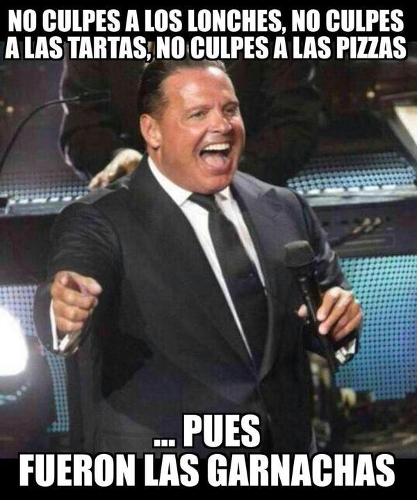 meme luis miguel gordo