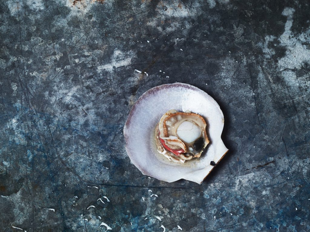 La artista Allie Wist imagina cómo será la comida del futuro gracias al cambio climático