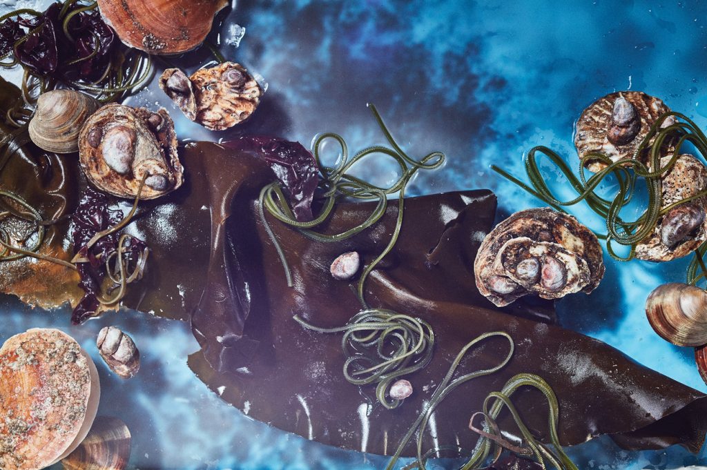 La artista Allie Wist imagina cómo será la comida del futuro gracias al cambio climático