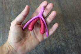 AsÃ­ es el modelo de la impresiÃ³n en 3D del clÃ­toris de una mujer