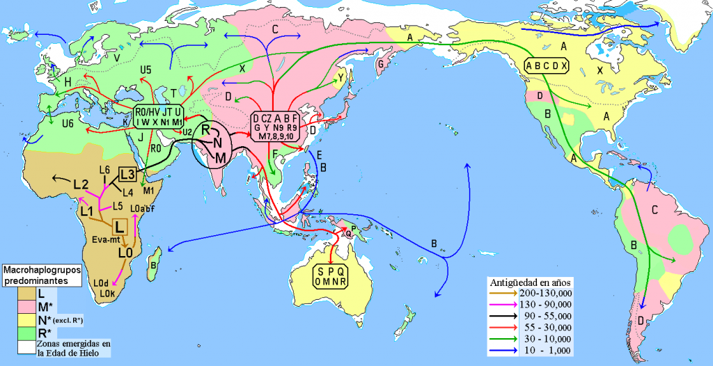 Mapa de migraciones humanas según los haplogrupos mitocondriales