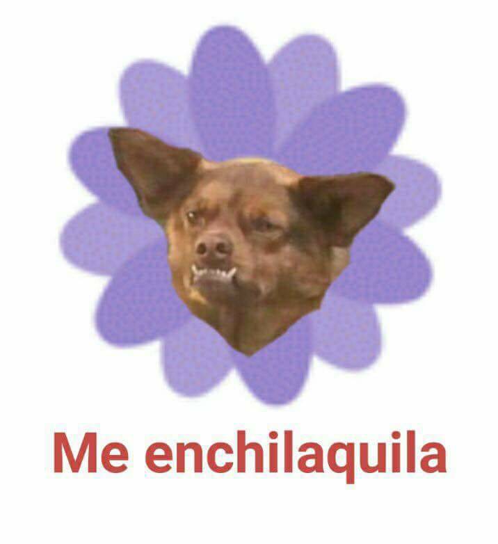 me enchilaquila