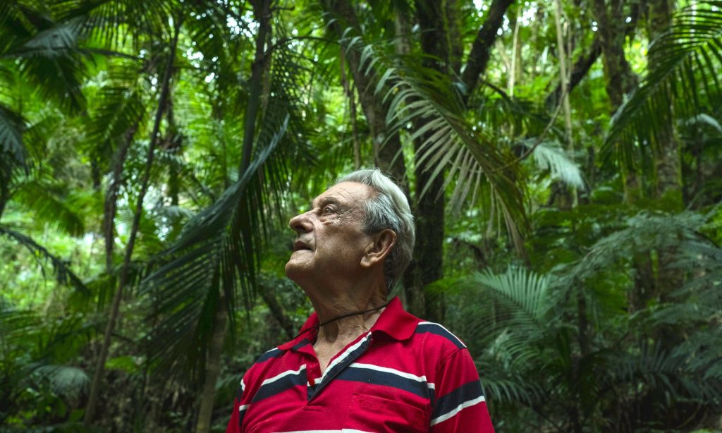 Antonio Vicente es un hombre brasileño que plantó 31 hectáreas de selva