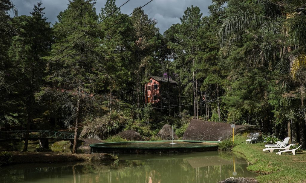 Casa de huéspedes de Antonio Vicente, quién plantó 31 hectáreas de selva
