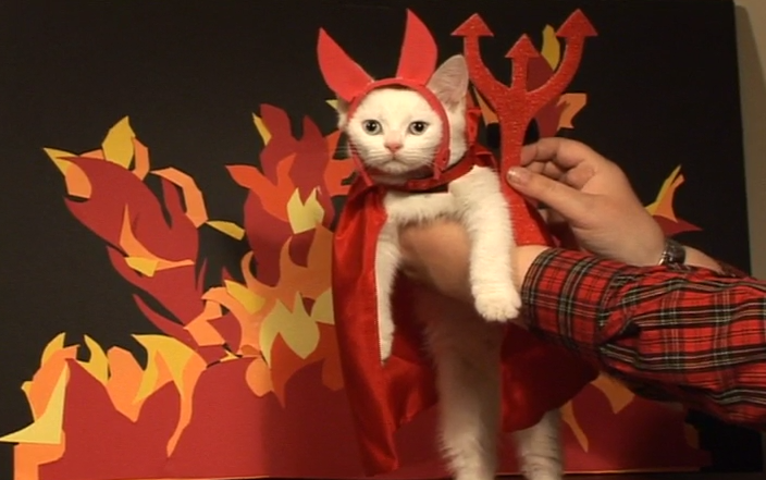 El gato Satanás