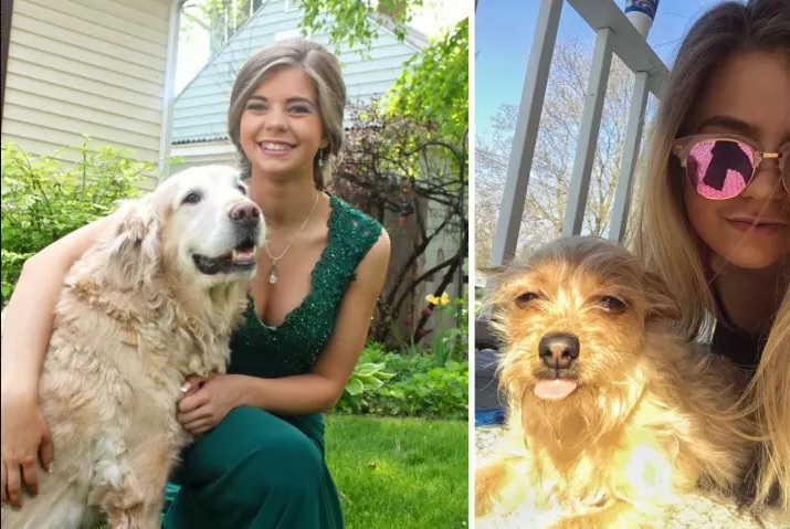 Una perrita usa de carruaje a su amigo perro y es lo más tierno que verás hoy