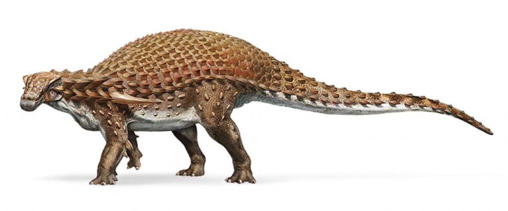 El Nodosaurus es miembro de los ankylosaurios