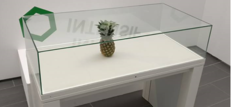 Una piña abandonada en una exhibición de arte en la Universidad Rober Gordon fue confundida por arte