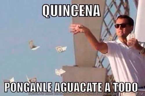 La abundancia del aguacate