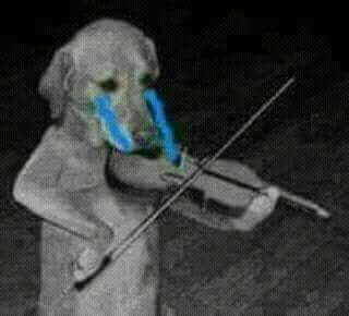 perrito tocando violin triste