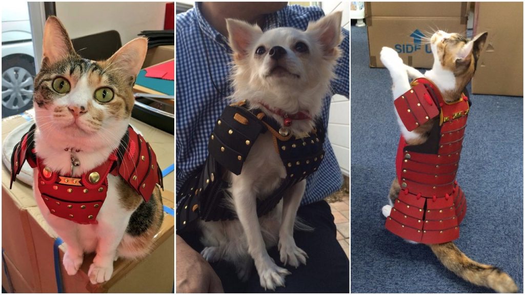 Samurai Age crea armaduras de samurái y su nueva colección es para mascotas