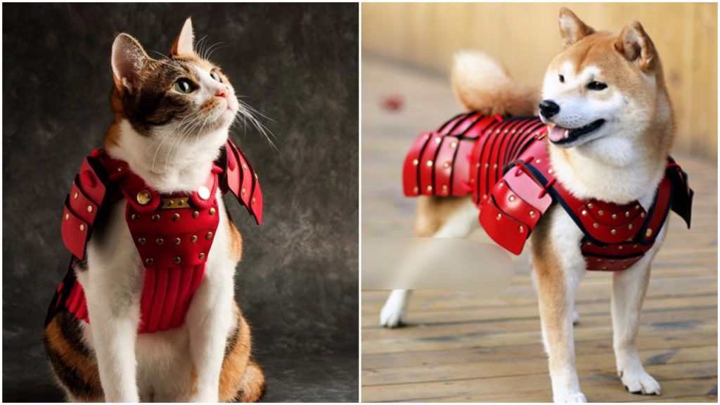 Samurai Age crea armaduras de samurái y su nueva colección es para mascotas