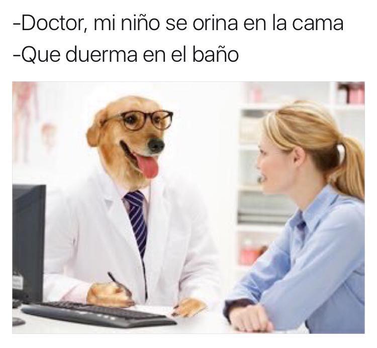 meme doctor perro orina la cama