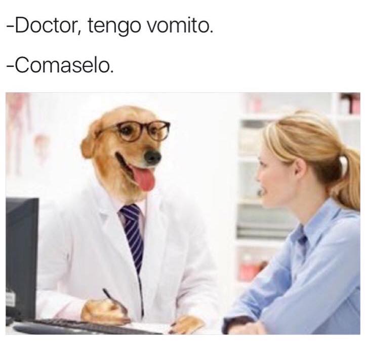 meme doctor perro vomito 