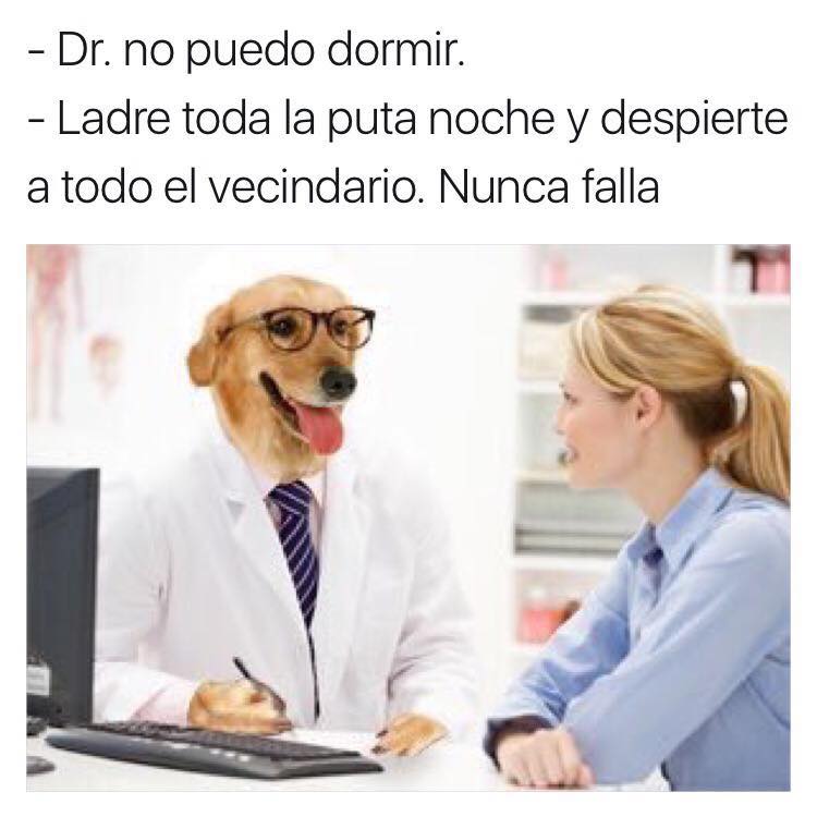 meme doctor perro no puedo dormir