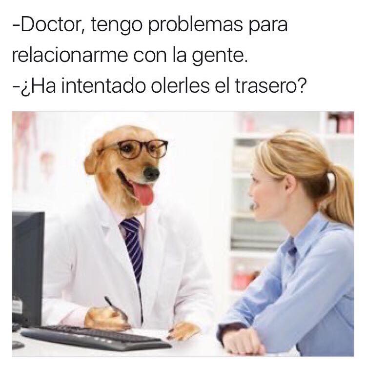 meme doctor perro relacionarme con gente