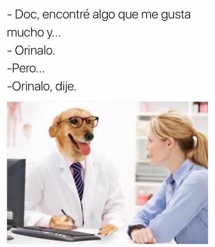 meme doctor perro algo me gusta mucho 