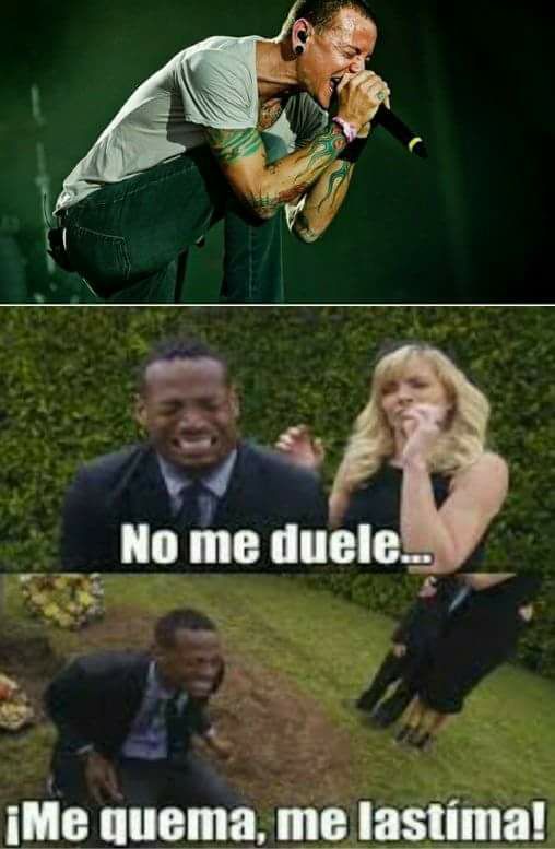 meme muerte linkin park llora