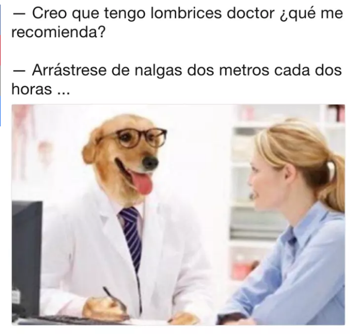 meme doctor perro tengo lombrices