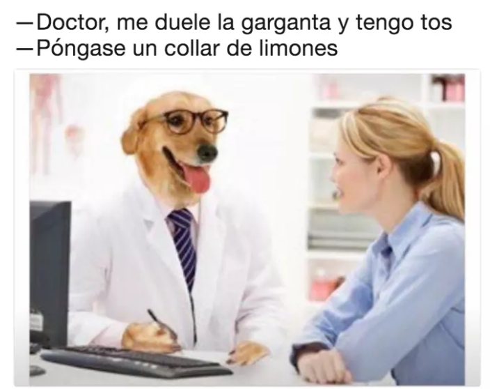 meme doctor perro duele garganta