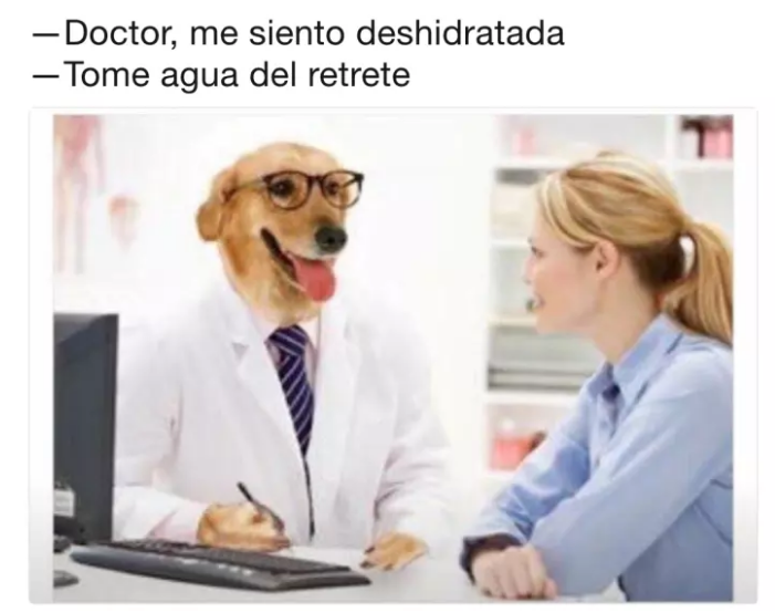 doctor perro me siento deshidratada