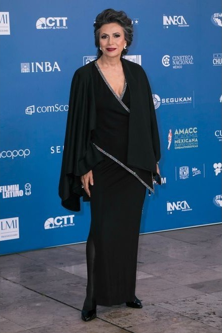 atricia Reyes Spíndola premios ariel 2017