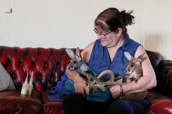 Josephine Brennan-Kuss con dos canguros bebés en un orfanato, Foto: Serena Solomon
