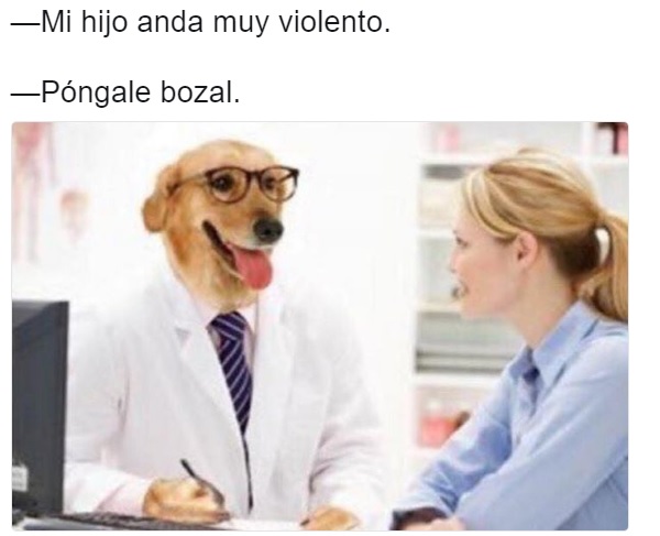 meme doctor perro violento