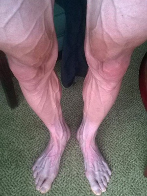 Piernas del ciclista Bartosz Huzarski durante el Tour de Francia 2014