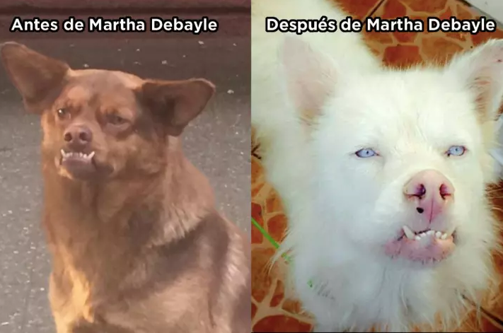 chilaquil meme martha debayle