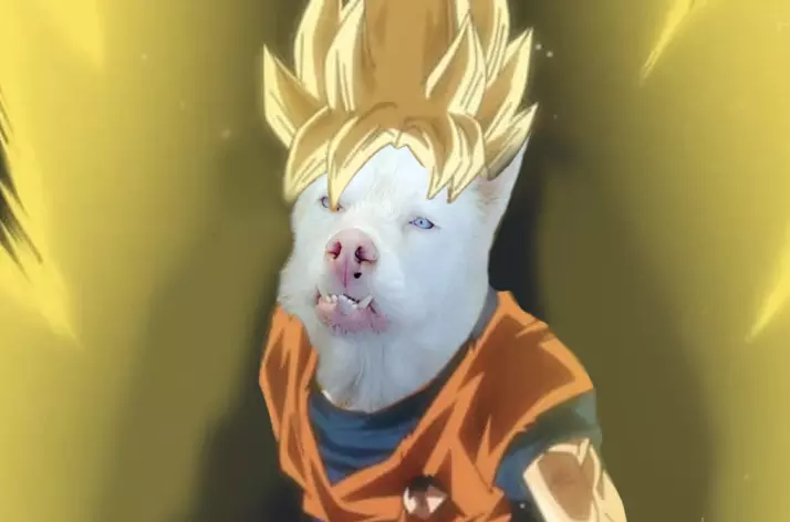 Chilaquil versión saiyajin