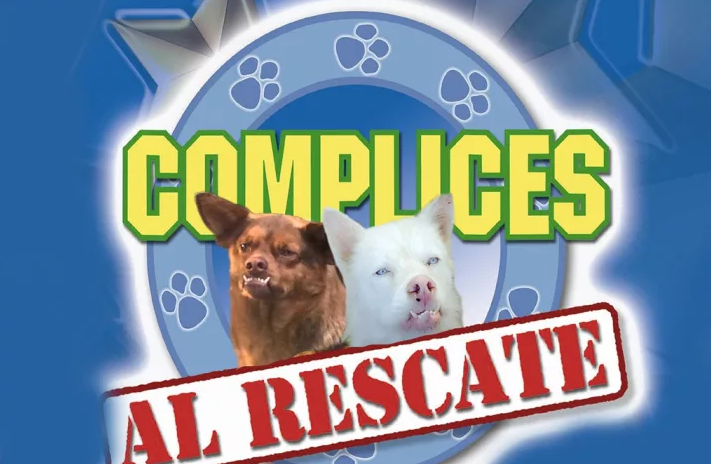 Chilaquil meme complices al rescate