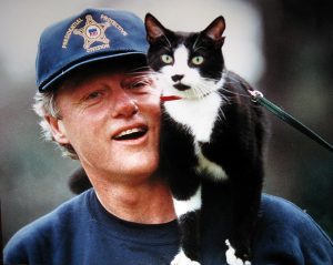 Gato presidencial