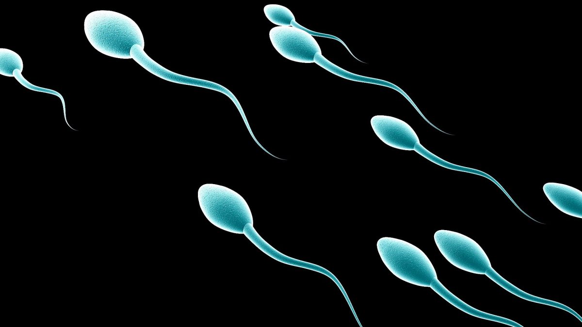 Anticonceptivo masculino esperma