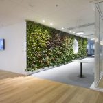 En las oficinas Skanska, Meristem Desing logró colocar 35 plantas por metro cuadrado