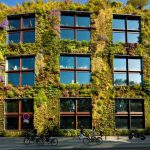 El Museo de Quai Branly en París tiene un jardín vertical con 15,000 plantas.