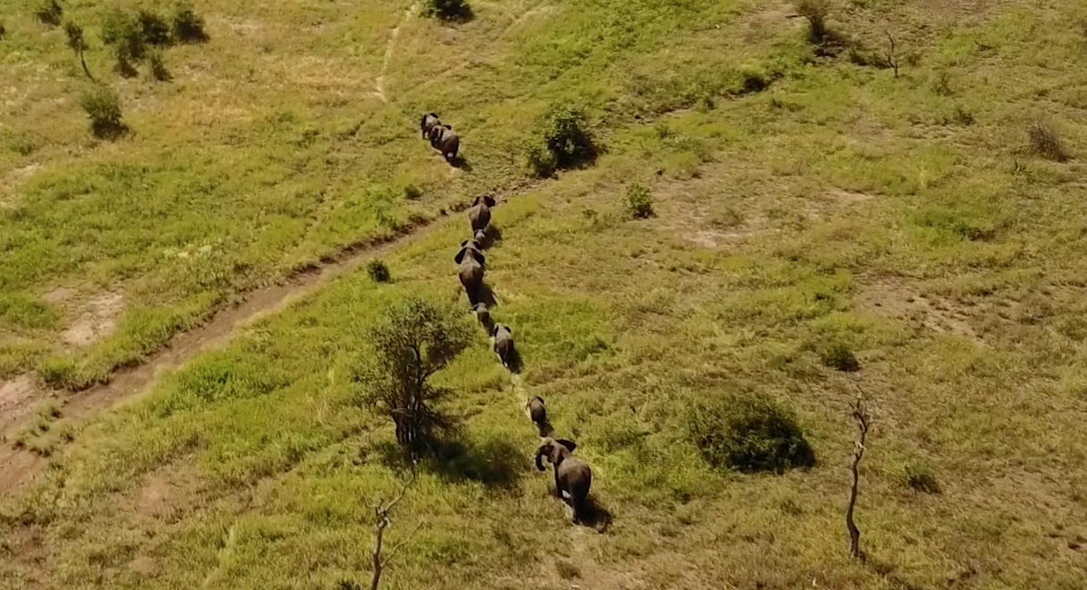 Este dron tomÃ³ un video mÃ¡gico de SudÃ¡frica desde las alturas