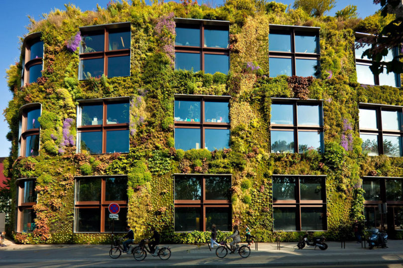 GALERÍA: ¿Por qué tener horizontales cuando pueden ser jardines verticales?