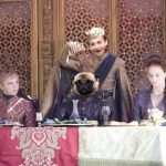 King Joffrey y estos pugs fueron víctimas de una batalla de photoshop
