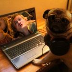 King Joffrey y estos pugs fueron víctimas de una batalla de photoshop