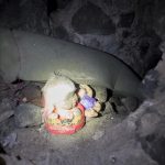 El hotel abandonado en la colonia Doctores