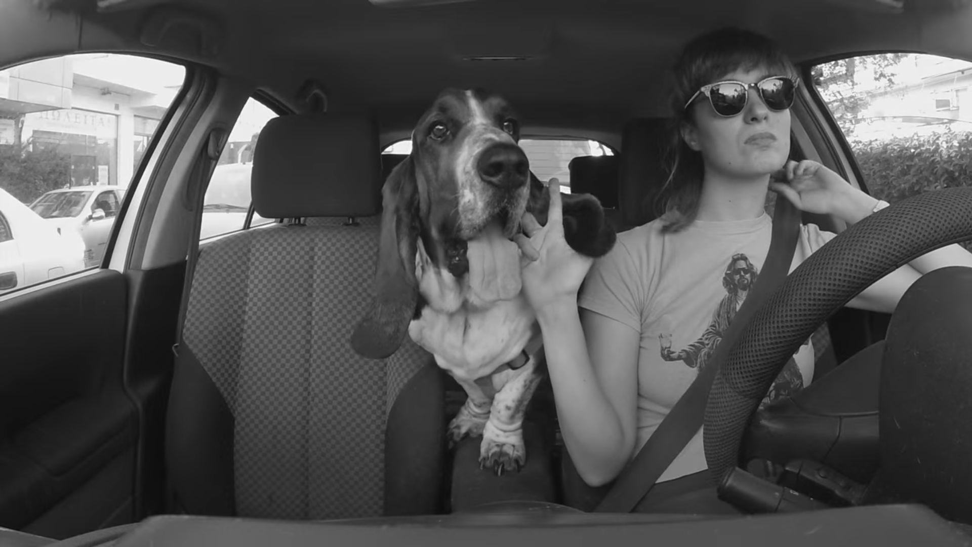 "Driving Ahound" es la rola perfecta para pasear con tu perro donde sea