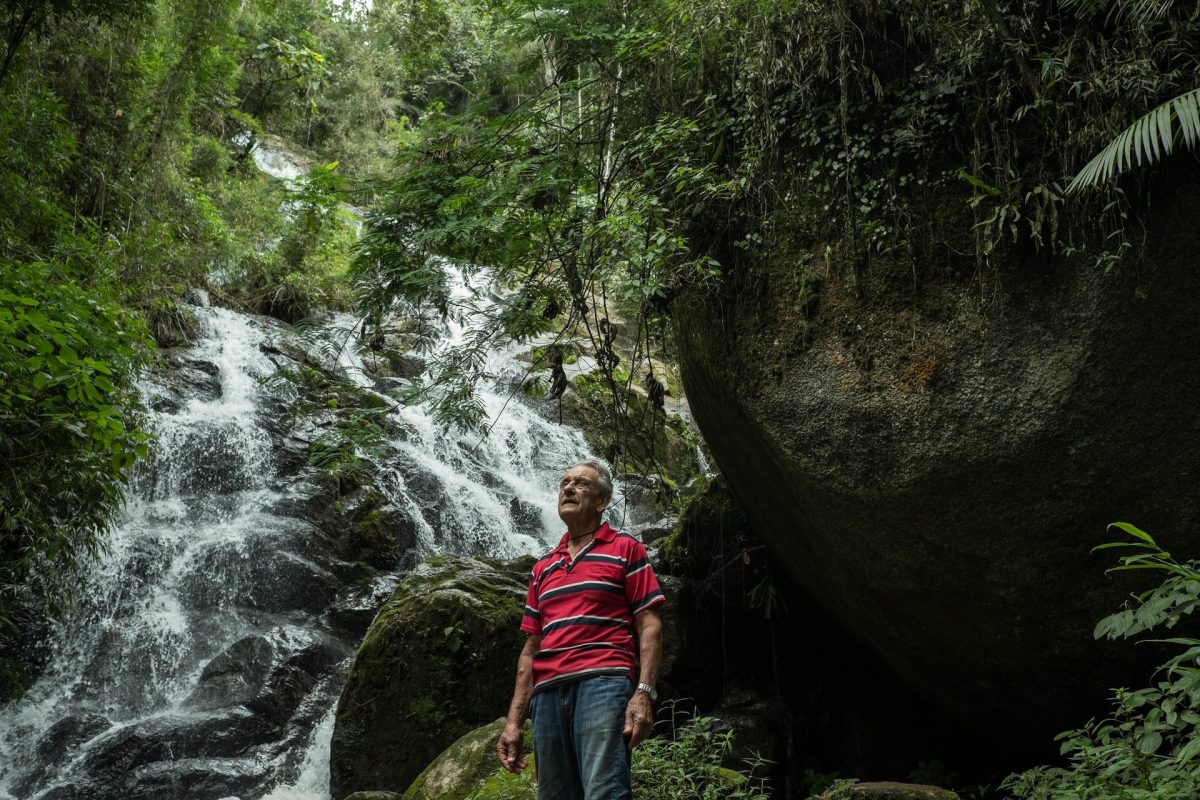 Antonio Vicente es un hombre brasileño que plantó 31 hectáreas de selva