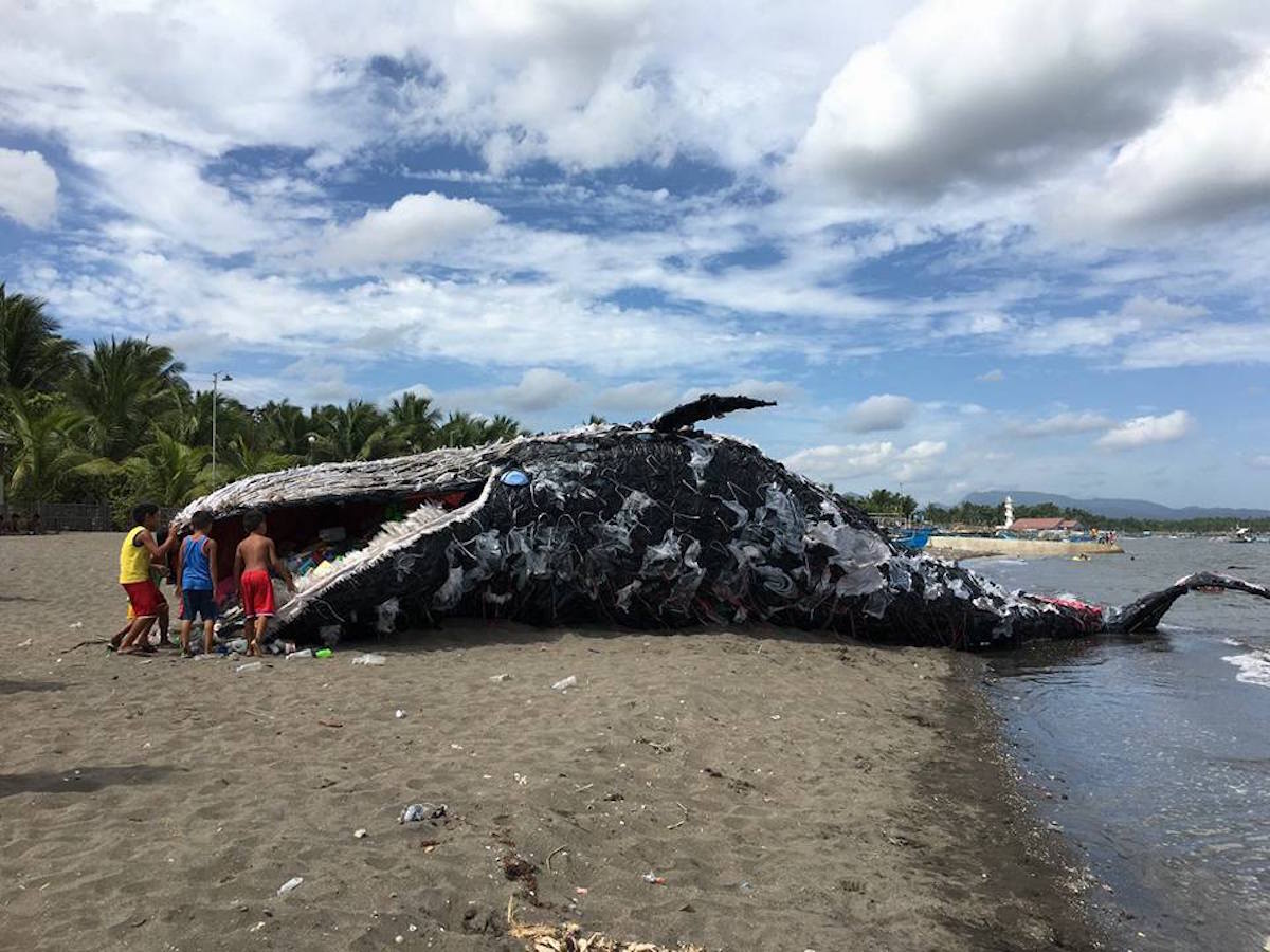 "Ballena muerta" llena de basura es encontrada encallada en Filipinas