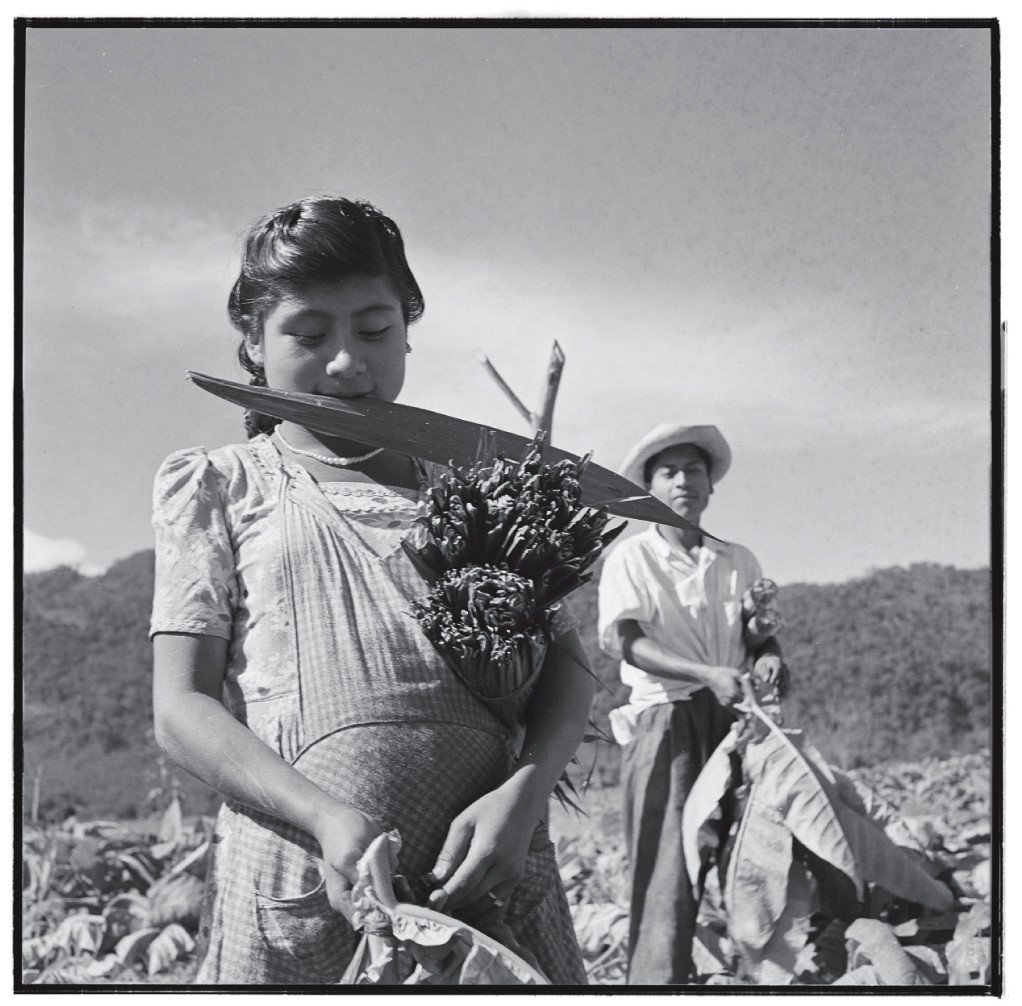 niños Juan Rulfo