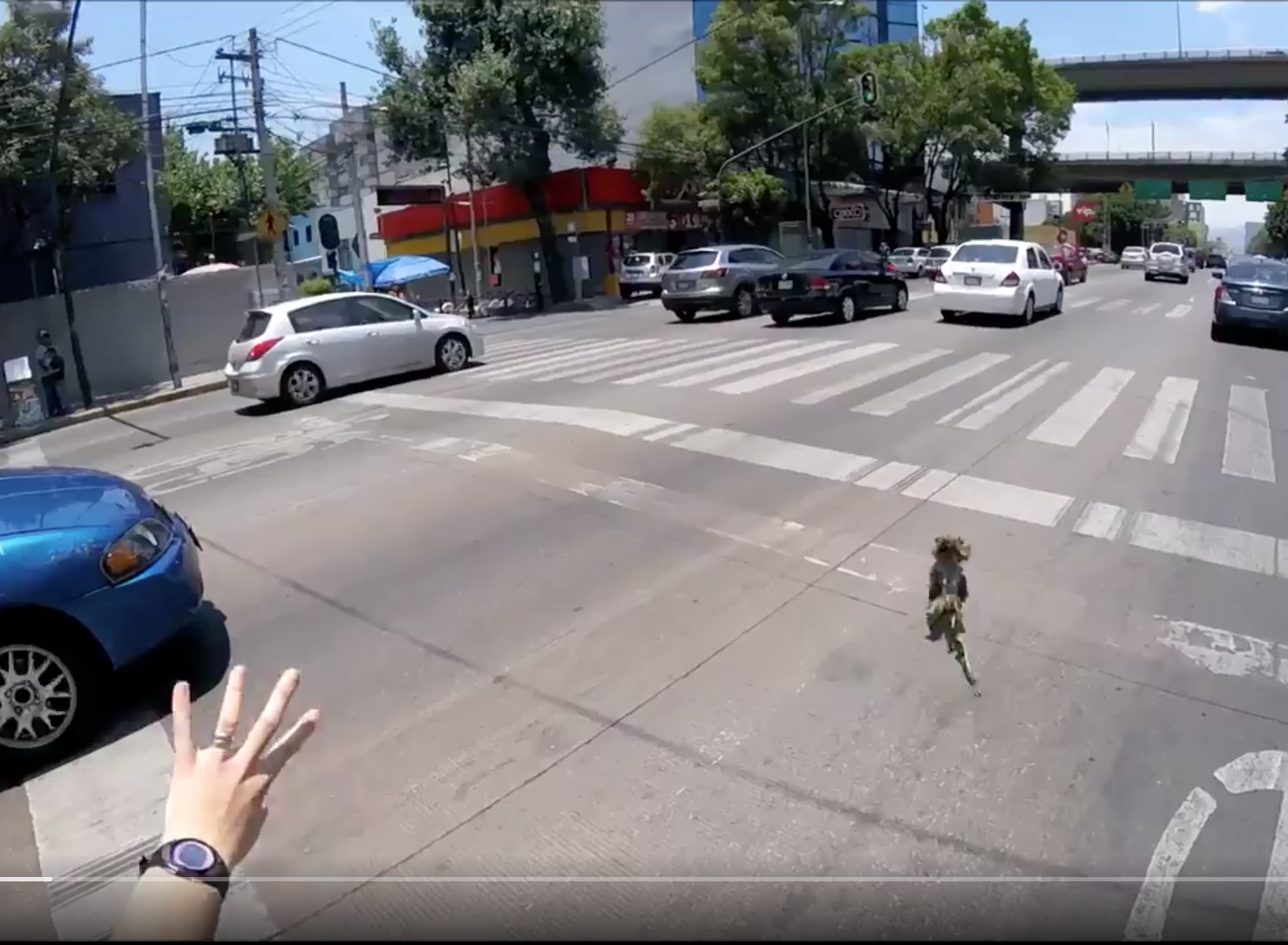 Una escena digna de pelÃ­cula de acciÃ³n